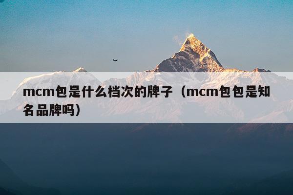 mcm包是什么檔次的牌子(mcm是什么檔次的牌子)