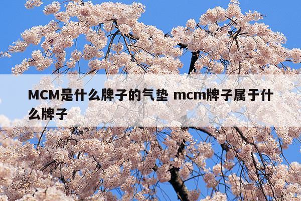 MCM是什么牌子的氣墊mcm牌子屬于什么牌子(mce氣墊)