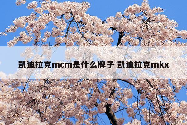 凱迪拉克mcm是什么牌子凱迪拉克mkx(凱迪拉克mkt)