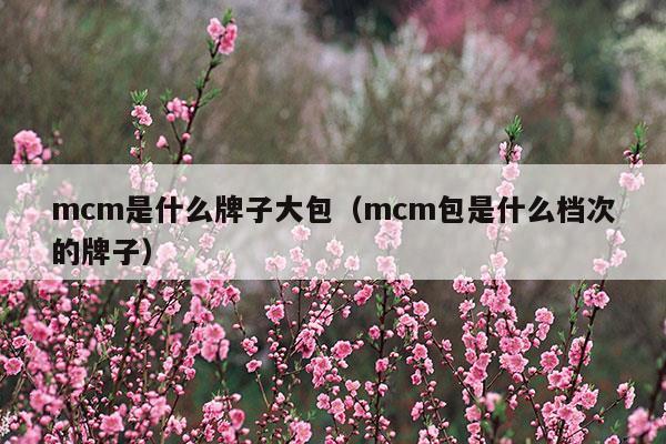 mcm是什么牌子大包(mcm是什么牌子價位是多少)