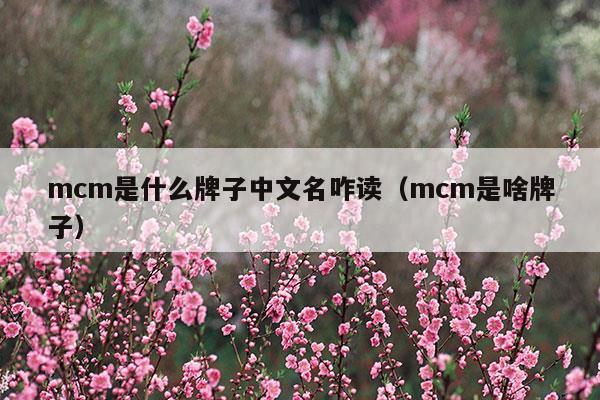 mcm是什么牌子中文名咋讀(mcm的中文意思是什么)