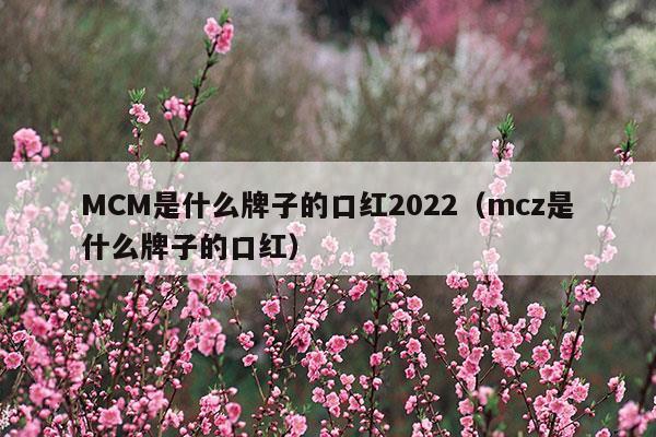 mcc是什么牌子口紅