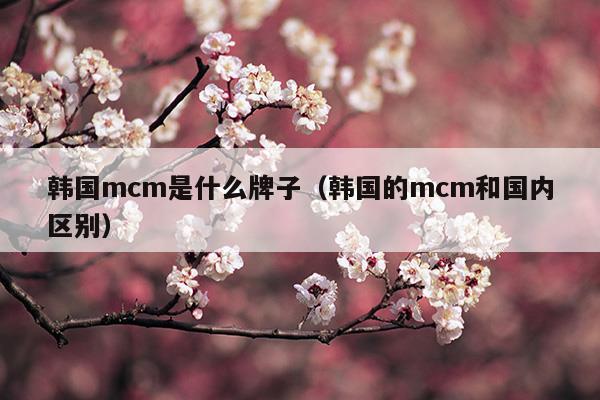 韓國mcm是什么牌子(和閨蜜吃美食視頻)