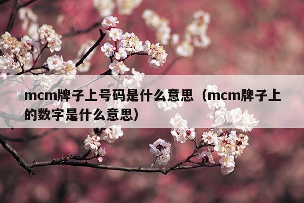 mcm牌子上號(hào)碼是什么意思(mcm牌子上號(hào)碼是什么意思)