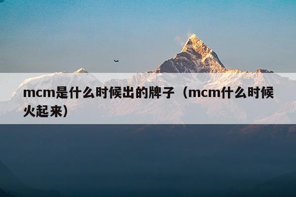 mcm是什么時(shí)候出的牌子(撼訊是什么時(shí)候出的牌子)