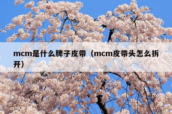 mcm是什么牌子中文名是真皮嗎?