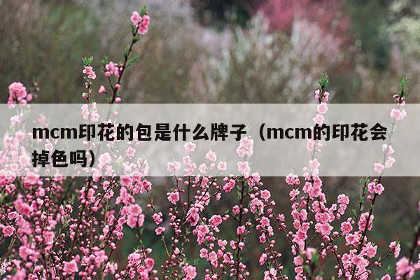 mcm印花的包是什么牌子(mcm包印花會掉嗎)