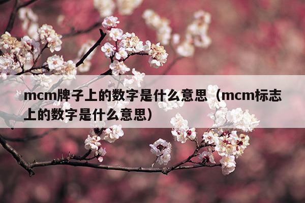 mcm牌子上的數(shù)字是什么意思