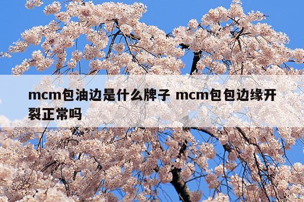 mcm包內(nèi)襯是布還是皮