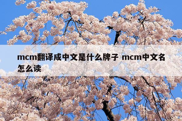 mcm翻譯成中文是什么牌子mcm中文名怎么讀(mcm是什么牌子中文名叫什么)