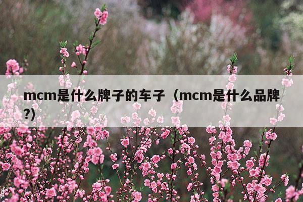 mcm是什么牌子的車子(mcm牌子相當(dāng)于什么檔次的車子)