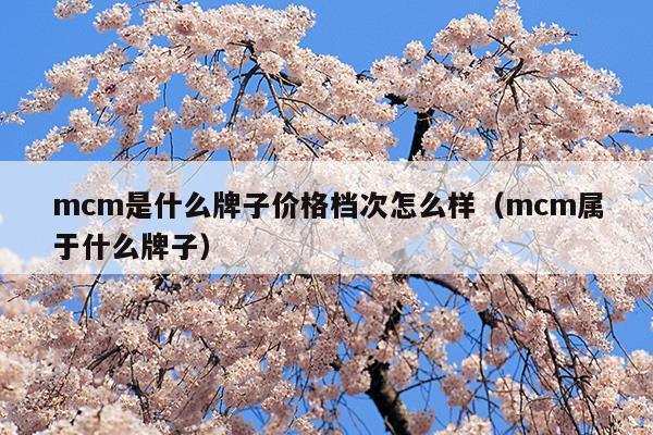 mcm是什么牌子價格檔次怎么樣(mcm牌子屬于什么檔次)