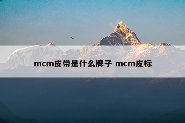 mcm皮帶是什么牌子mcm皮標(mcm是什么牌子價位)