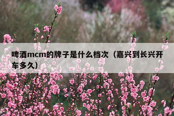 啤酒mcm的牌子是什么檔次(landx啤酒是什么牌子)