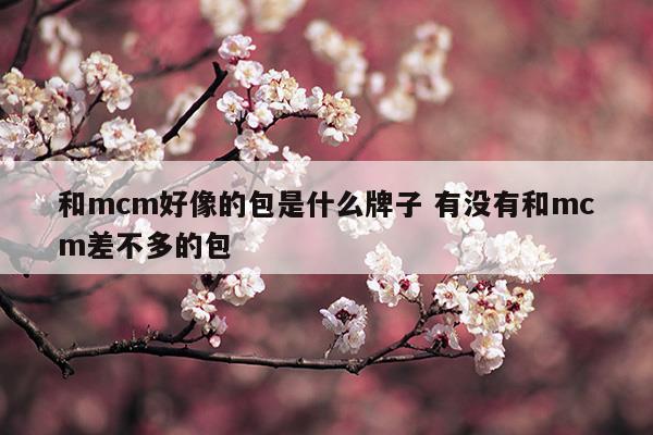 和mcm好像的包是什么牌子有沒(méi)有和mcm差不多的包(mcm鏈條包和mcm菜籃子哪個(gè)值得買(mǎi))