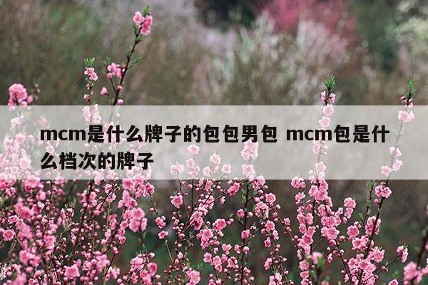 mcm是什么牌子的包包男包mcm包是什么檔次的牌子(mcm是什么牌子的包包)