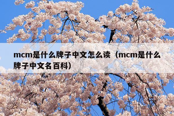 mcm是什么牌子中文怎么讀(mcm是什么品牌中文名)