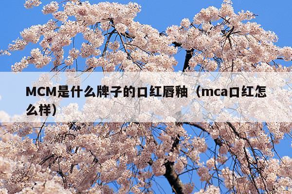 MCM是什么牌子的口紅唇釉(tf口紅是什么牌子)