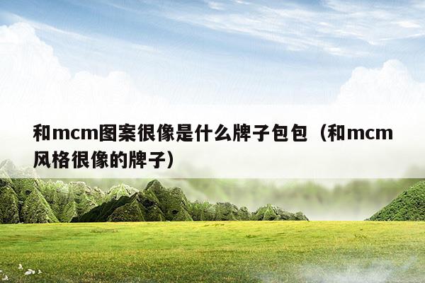 和mcm圖案很像是什么牌子包包(類(lèi)似mcm)