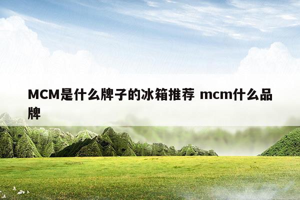 MCM是什么牌子的冰箱推薦mcm什么品牌(冰箱推薦2023)