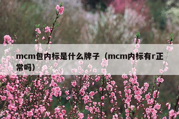 mcm包內(nèi)標(biāo)是什么牌子(mcm是什么牌子的包)