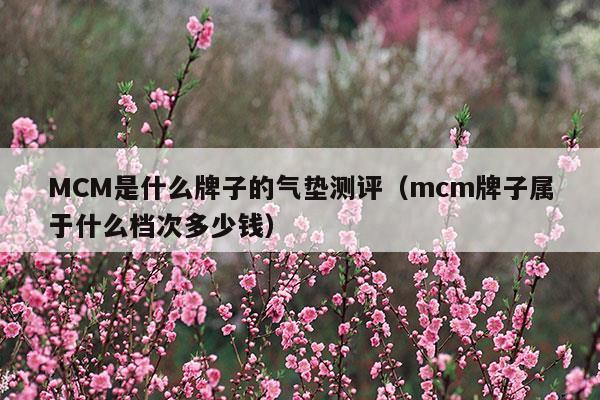 MCM是什么牌子的氣墊測評(do紅氣墊是什么牌子)