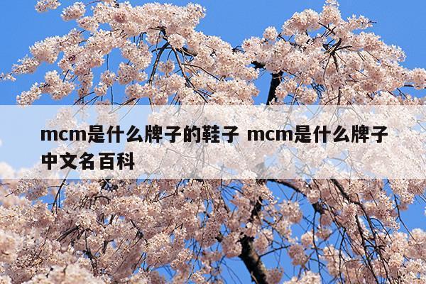 mcm是什么牌子的鞋子mcm是什么牌子中文名百科(mcm鞋是什么牌子)