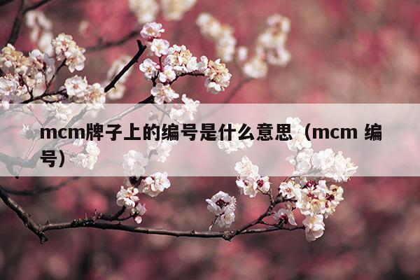 mcm中文名是什么牌子