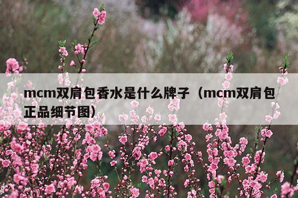 mcm雙肩包香水是什么牌子(mcm雙肩包4個(gè)尺寸大小)