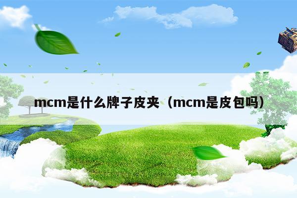 mcm是什么牌子皮夾(mcm是什么檔次的牌子)