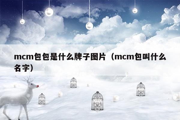 mcm原單包包是什么意思