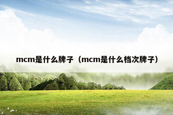 mcm是什么牌子(mcm是什么牌子多少錢)