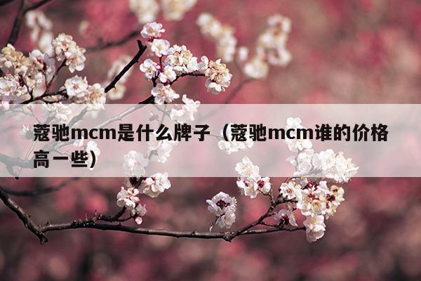 蔻馳mcm是什么牌子(蔻馳 mcm哪個檔次好)