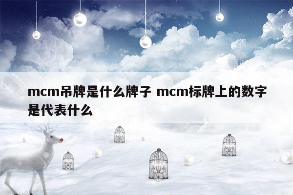 mcm銘牌上的數(shù)字什么意思