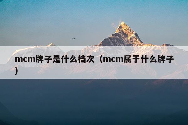 mcm牌子是什么檔次(mcm是什么牌子中文名怎么讀)