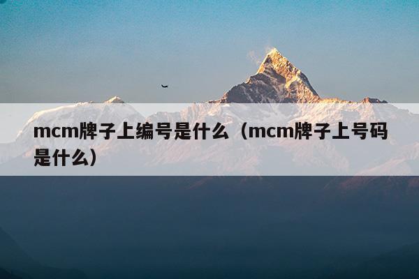 mcm牌子上編號(hào)是什么(mcm香水牌子屬于什么檔次)