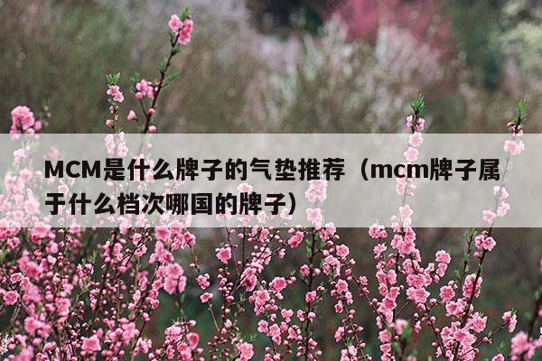 MCM是什么牌子的氣墊推薦(mcm是啥牌子)