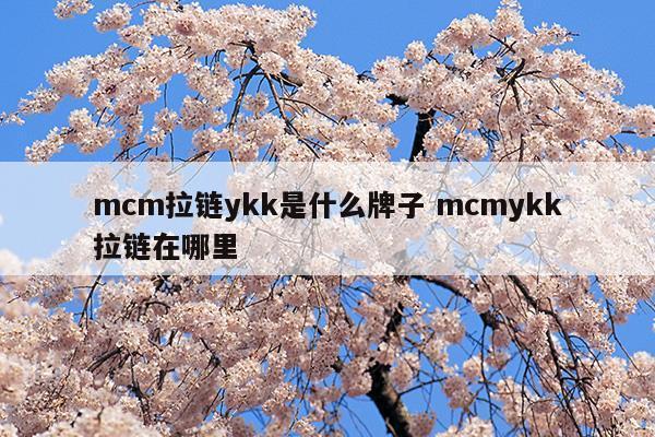 mcm拉鏈ykk是什么牌子mcmykk拉鏈在哪里(mcm包拉鏈的ykk 標(biāo)識在哪里)