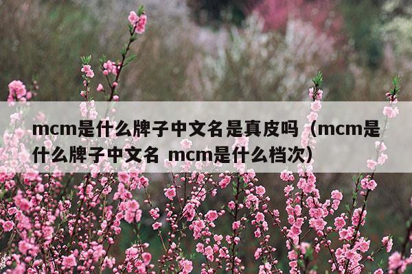 mcm是什么牌子中文名是真皮嗎(mcm是啥牌子)