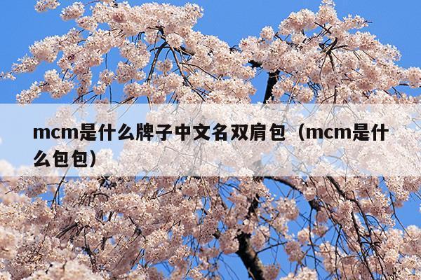 mcm是什么牌子中文名雙肩包(mcm官網(wǎng)雙肩包價格表)