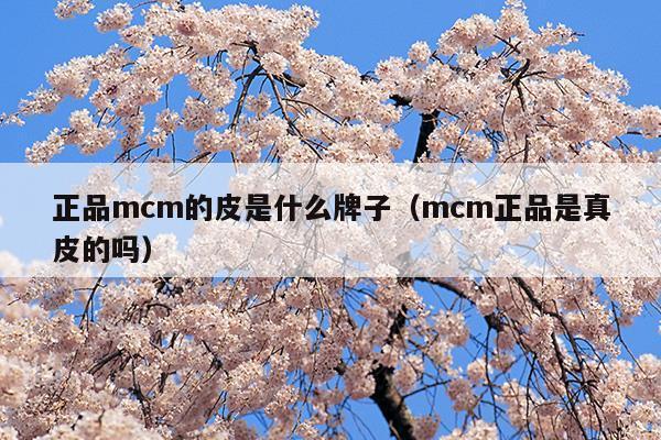 正品mcm的皮是什么牌子(mcm是什么牌子的包包)