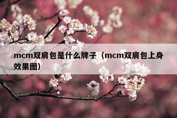 mcm雙肩包是什么牌子(男款雙肩包mcm特大號)