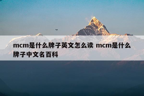 奢侈品mcm怎么讀