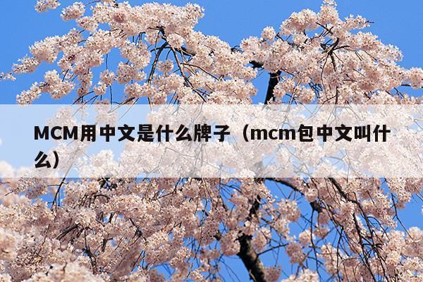 mcm包包是什么牌子幾線