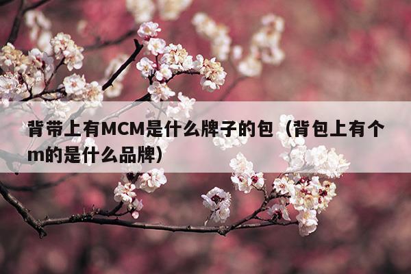 背帶上有MCM是什么牌子的包(mcm雙肩包4個(gè)尺寸大小)