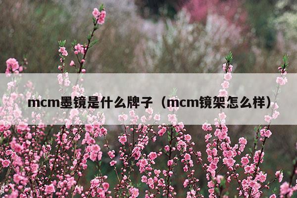 mcm墨鏡是什么牌子中文名