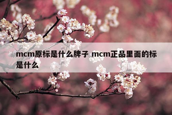 mcm原廠