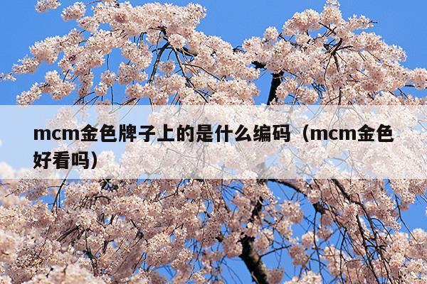 mcm金色牌子上的是什么編碼(mcm包金屬牌上的數(shù)字)