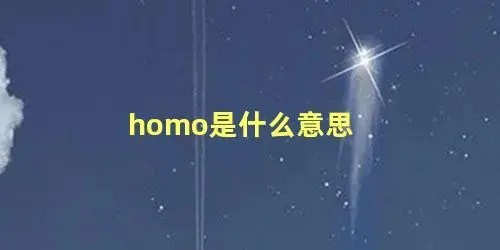 homo是什么意思-homo是什么意思b站當(dāng)時