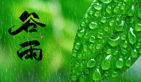 谷雨的寓意和象征，谷雨的寓意和象征是什么？